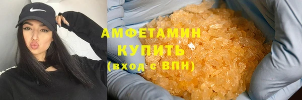 шишки Абаза
