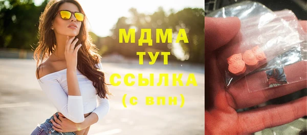 шишки Абаза