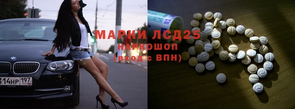 шишки Абаза