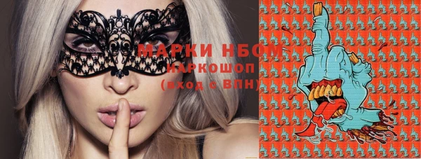 шишки Абаза