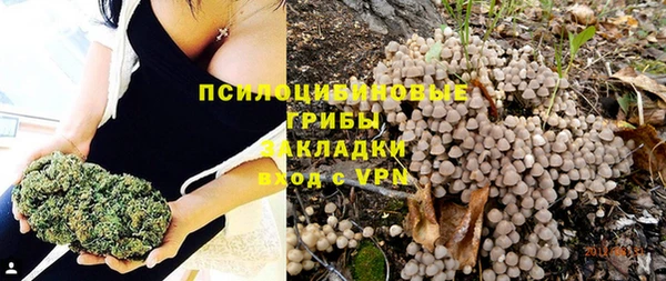 экстази Алексин